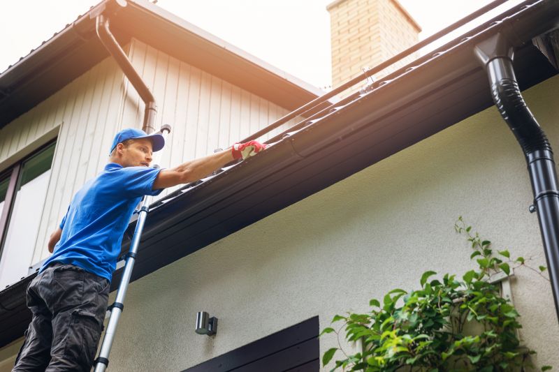 Gutter Service detail