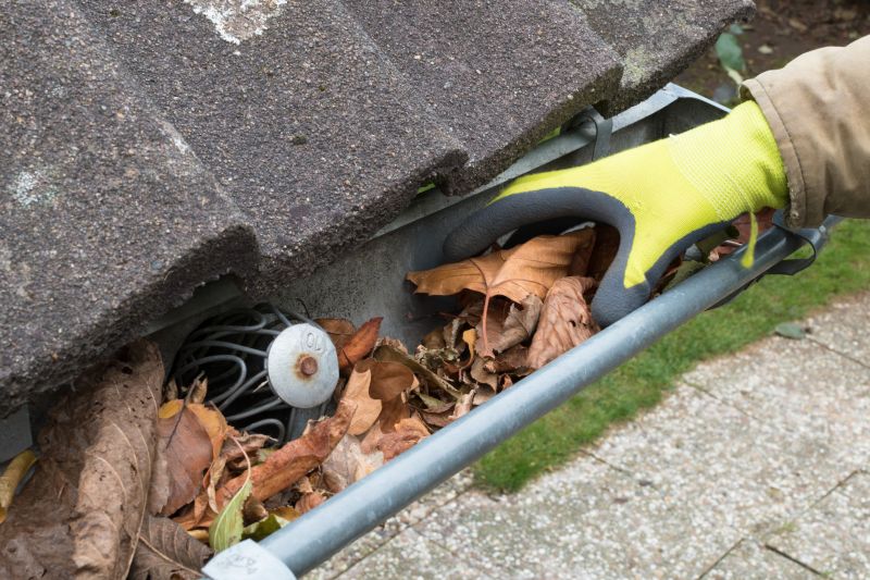 Cleaning Gutters After Fall